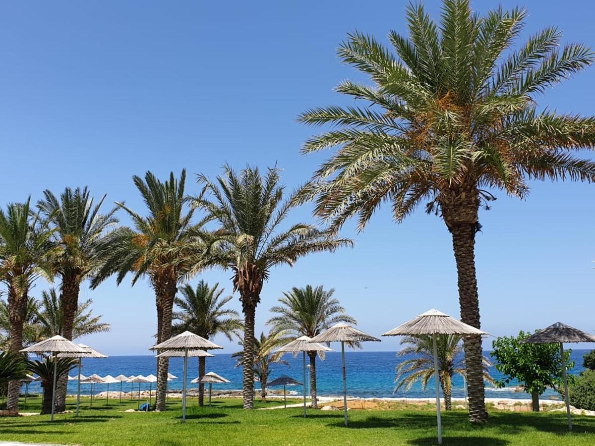 Seaview Sunset Holiday Apartments Paphos Extérieur photo